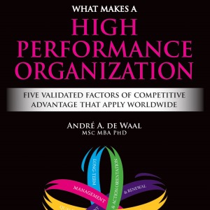 Download chapter 1 and 2 from 'What Makes A High Performance Organization' for free!